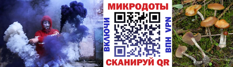 Галлюциногенные грибы Psilocybine cubensis  купить   Черемхово 